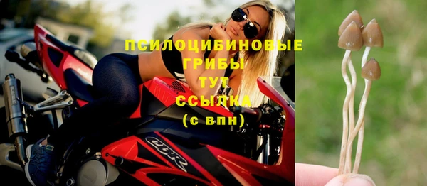 стафф Волосово