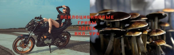 стафф Волосово