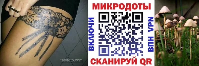 KRAKEN онион  Черноголовка  Псилоцибиновые грибы мицелий 